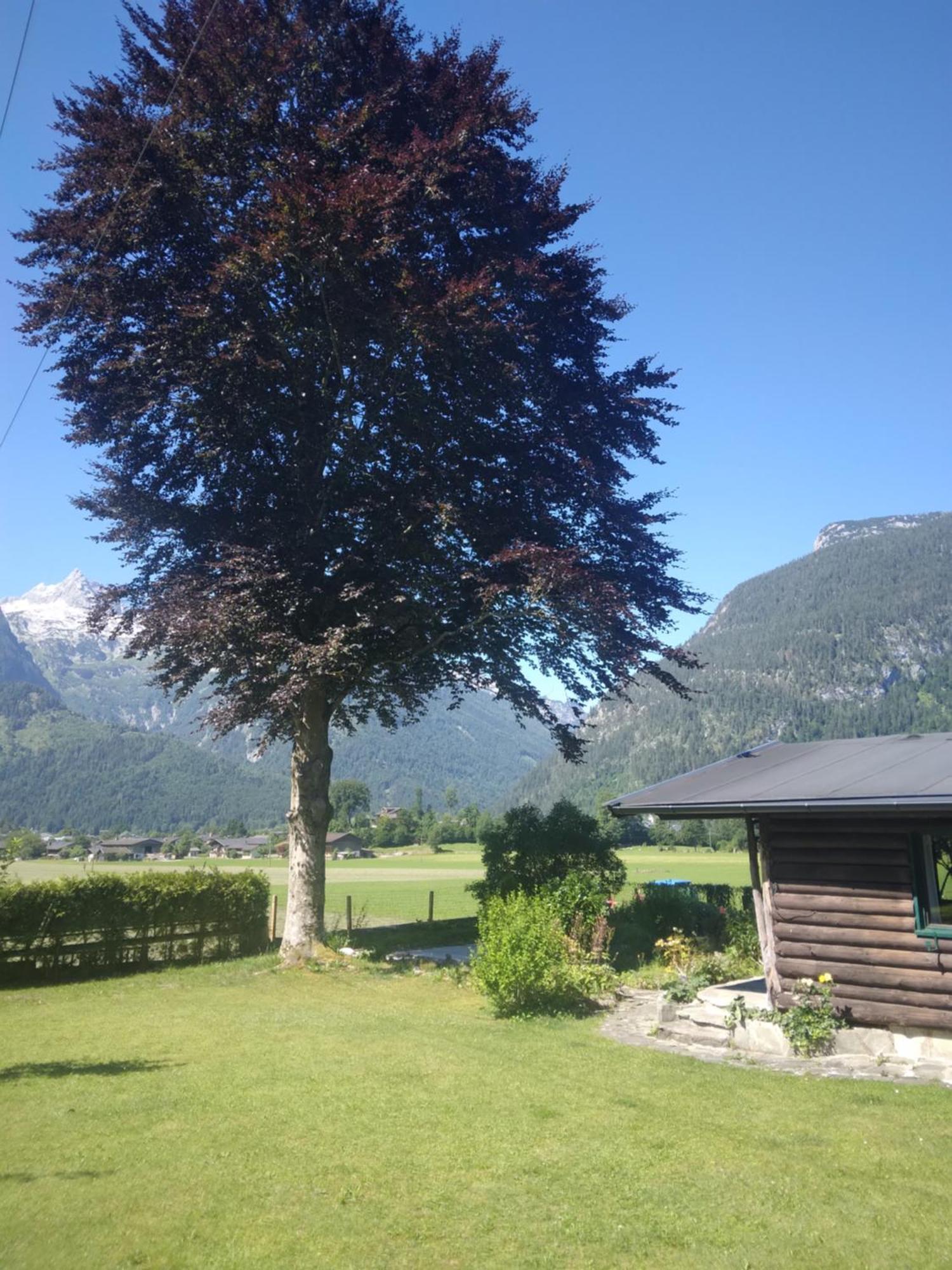 Chalet Scheffsnoth Lofer Eksteriør billede